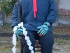 CARNEVALE 2009