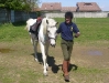 VIA FRANCIGENA A CAVALLO - 2008