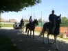 VIA FRANCIGENA A CAVALLO - 2008