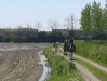 VIA FRANCIGENA A CAVALLO - 2008