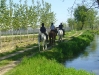 VIA FRANCIGENA A CAVALLO - 2008